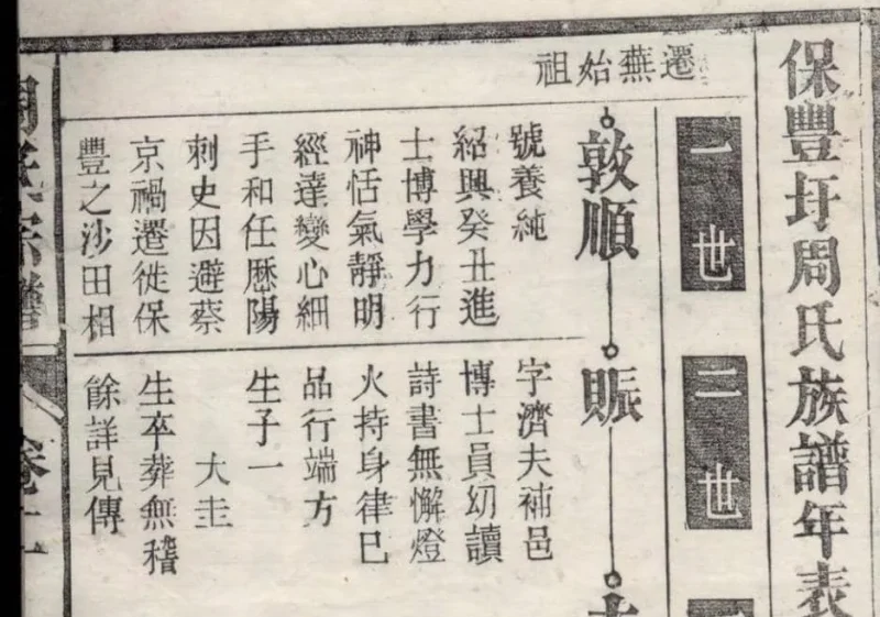 安徽芜湖保丰圩周氏族谱（亲仁堂）-噜噜咕