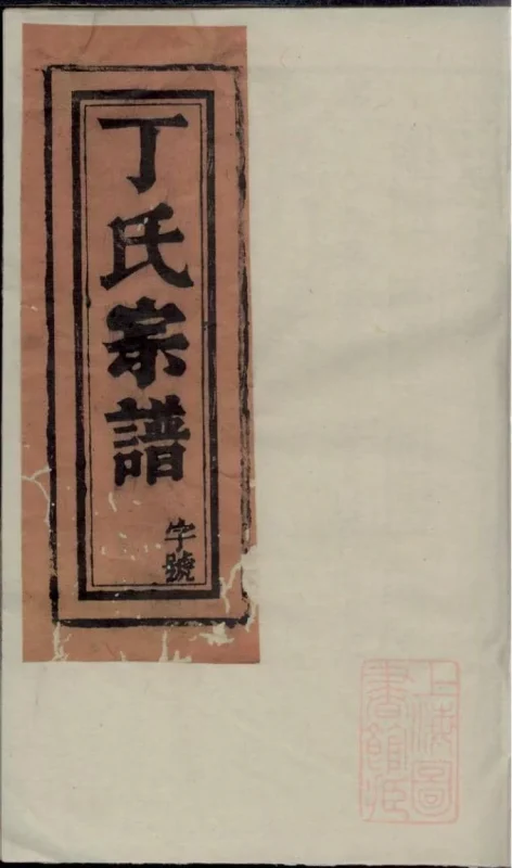 浙江丽水缙云县丁氏宗谱-噜噜咕