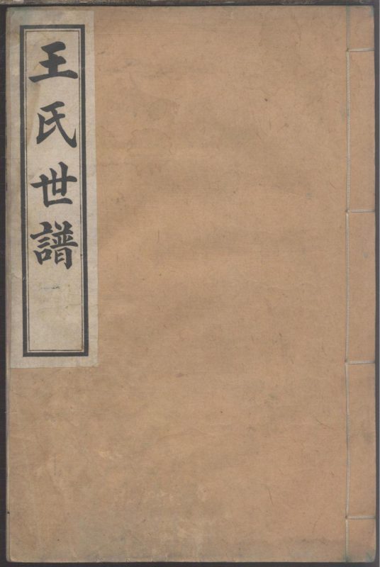 山东淄博桓台县唐山镇王氏世谱-噜噜咕