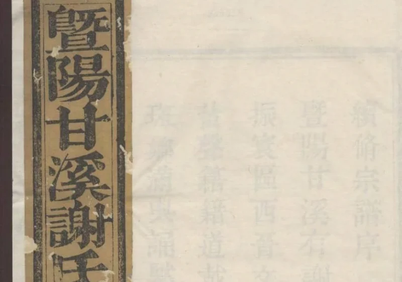 浙江诸暨暨阳甘溪谢氏宗谱（新燕堂）-噜噜咕