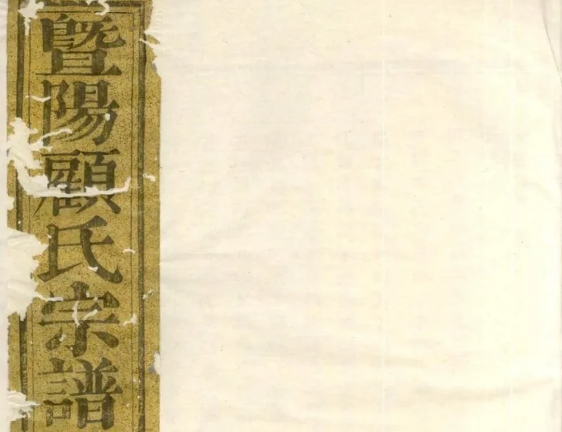 浙江诸暨暨阳平阔厚丰顾氏宗谱（植嘉堂）-噜噜咕