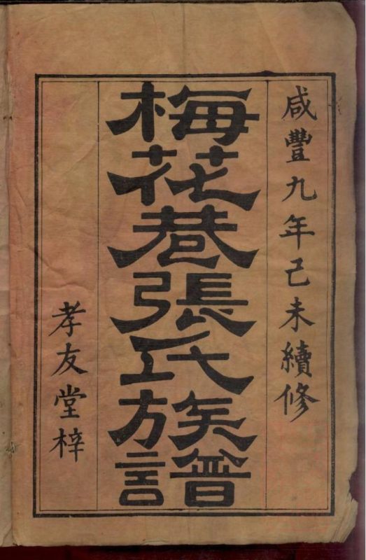 湖南浏阳梅花巷张氏族谱（孝友堂）-噜噜咕